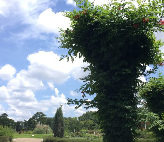 鍼治療を受けて⑤ 20210617