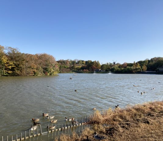 １１月２４日水曜日阿部