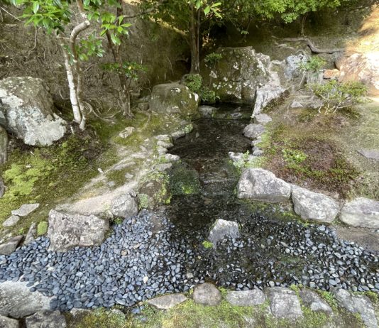 印象的だったこと