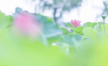 手足のほてり
